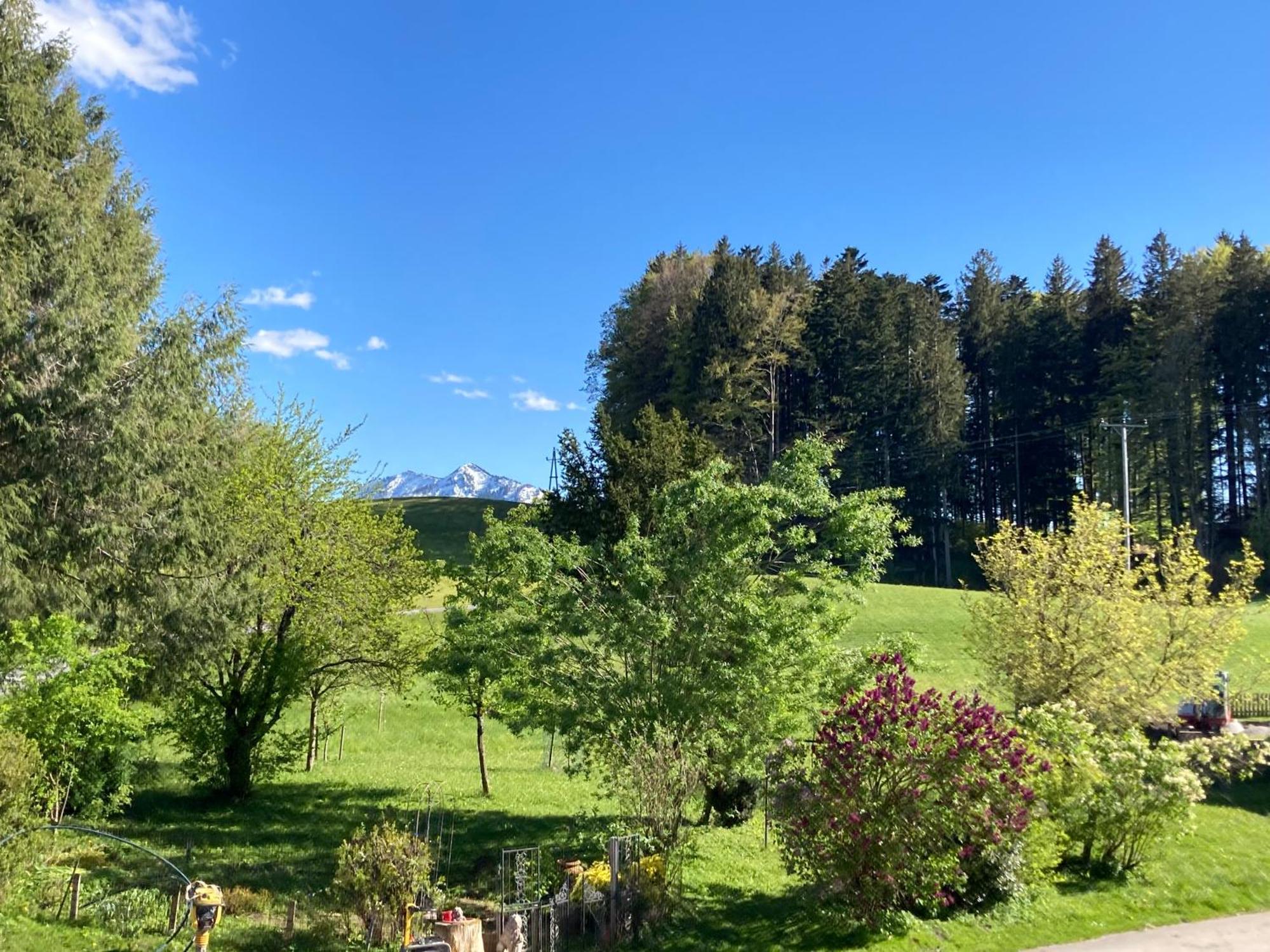 Obereggut Daire Hof bei Salzburg Dış mekan fotoğraf