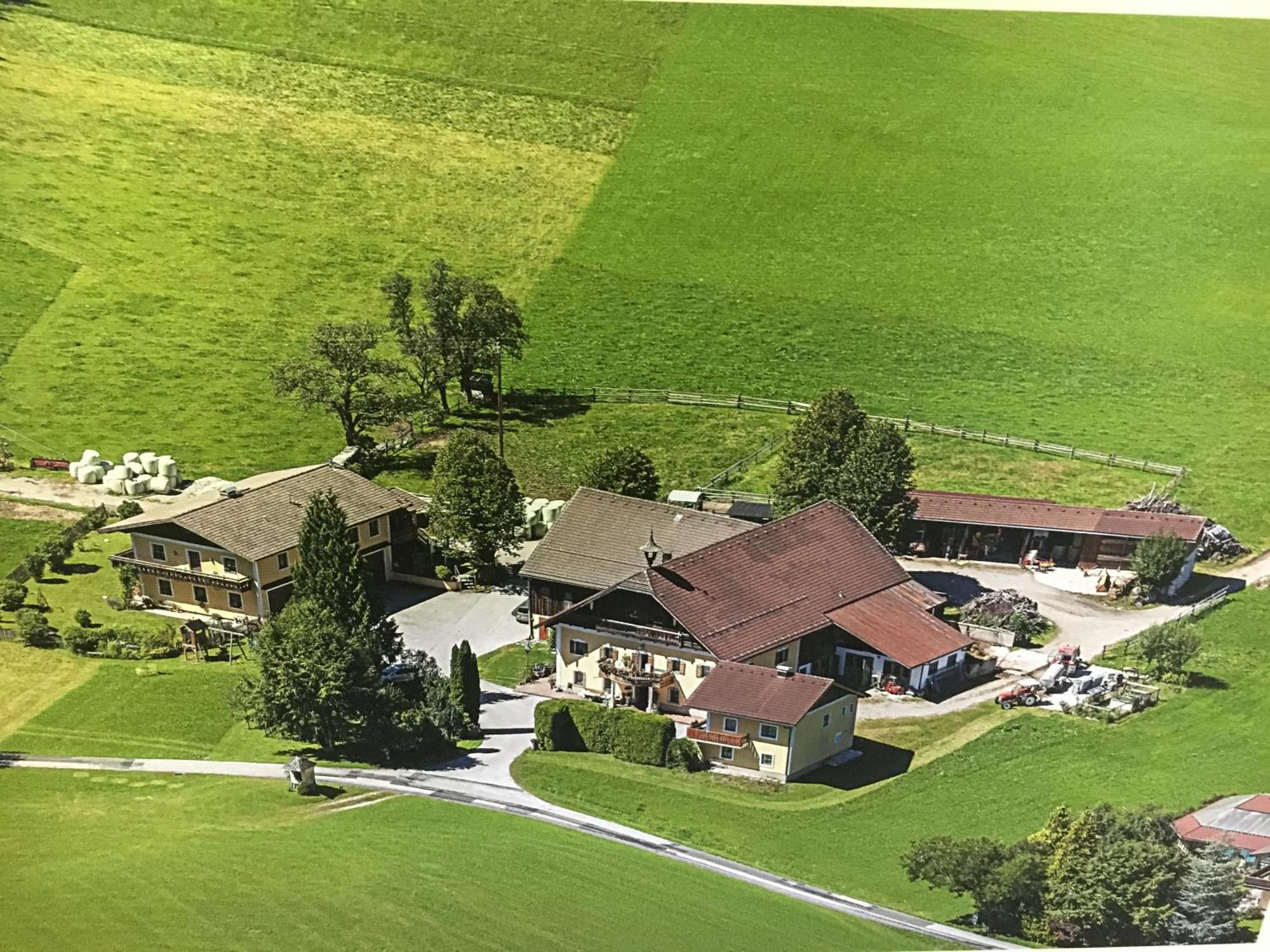 Obereggut Daire Hof bei Salzburg Dış mekan fotoğraf