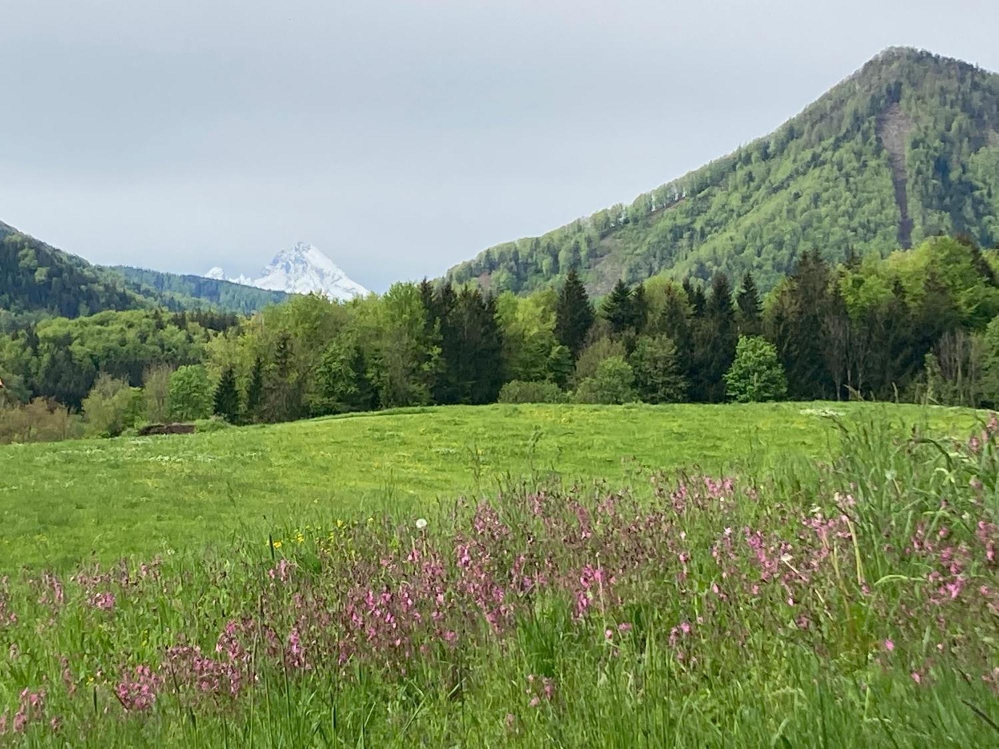 Obereggut Daire Hof bei Salzburg Dış mekan fotoğraf