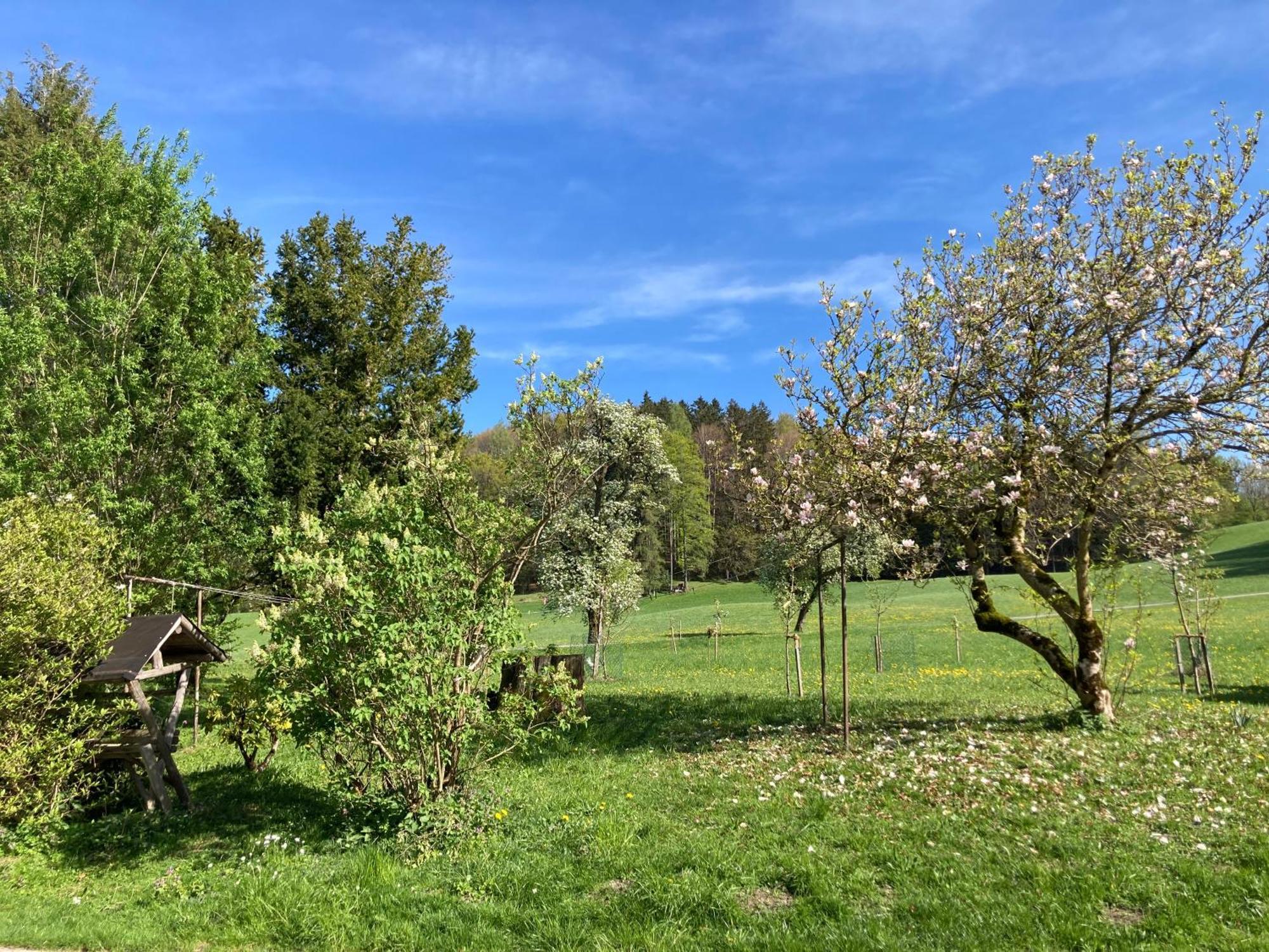 Obereggut Daire Hof bei Salzburg Dış mekan fotoğraf