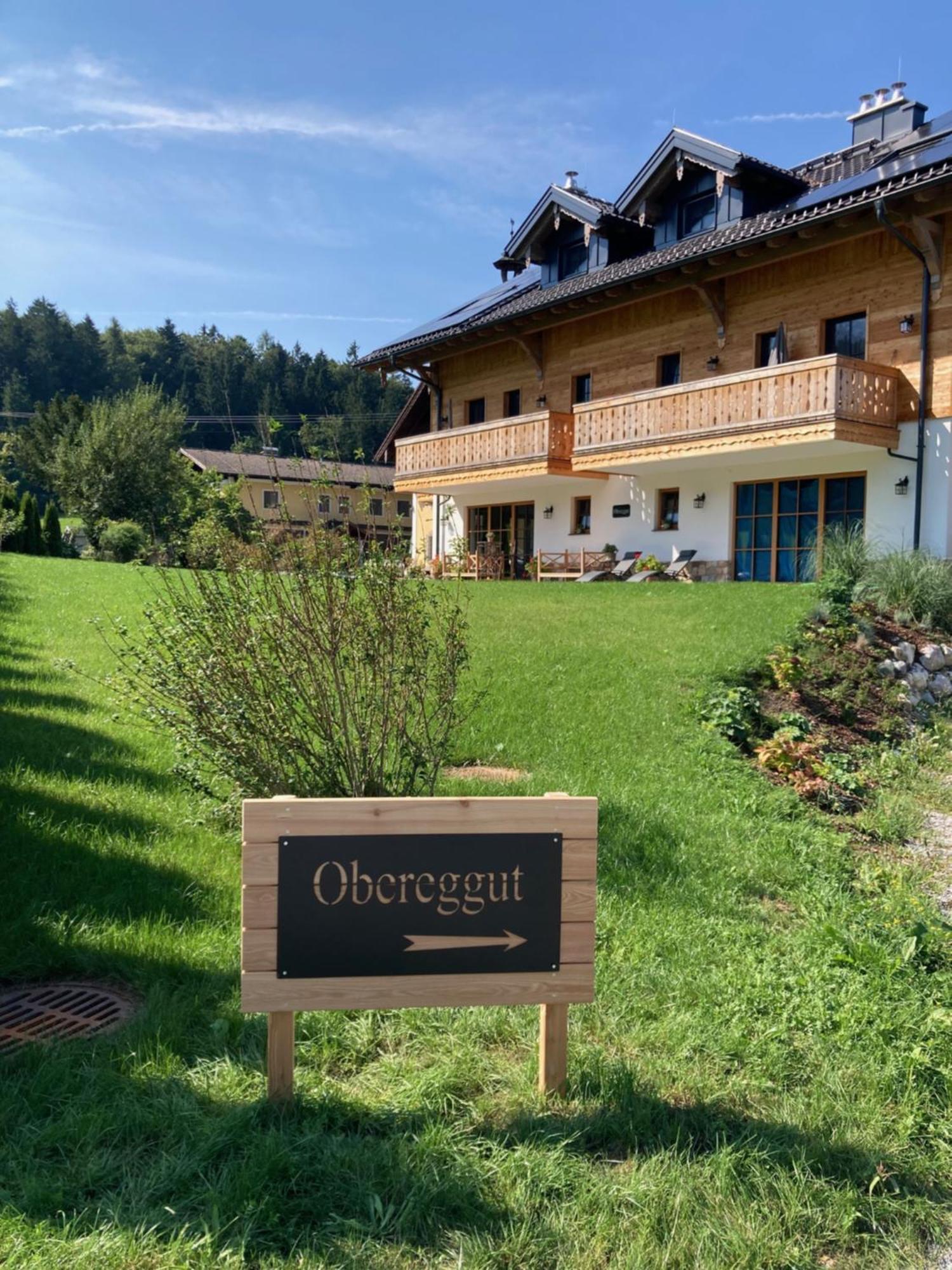 Obereggut Daire Hof bei Salzburg Dış mekan fotoğraf