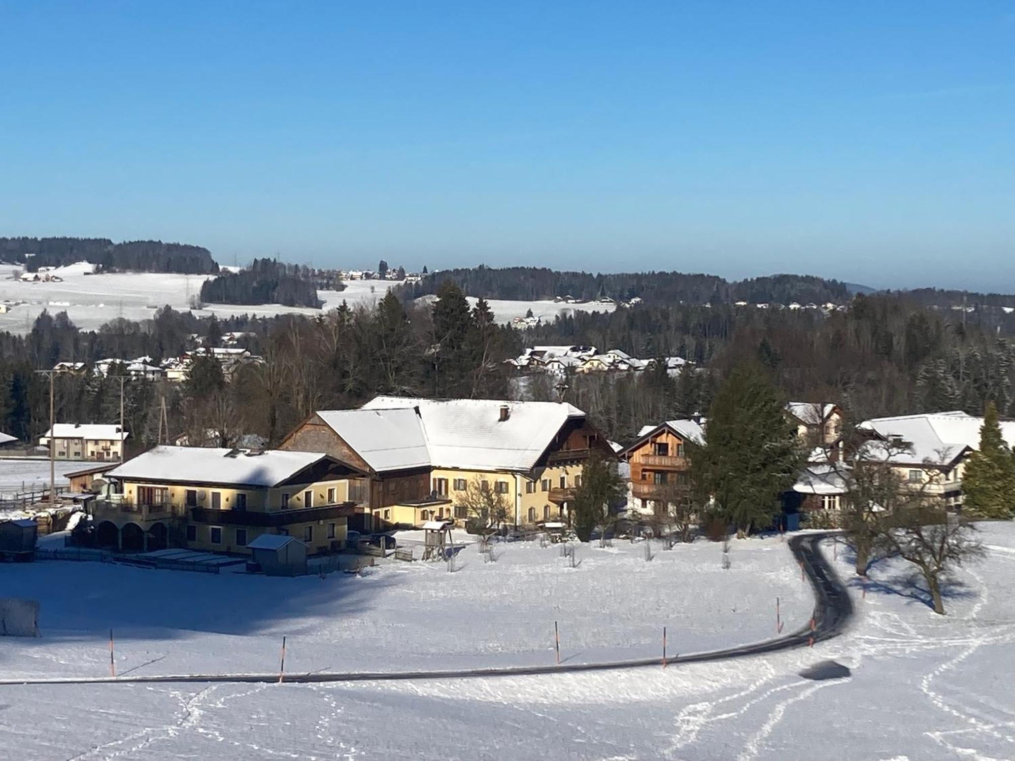 Obereggut Daire Hof bei Salzburg Dış mekan fotoğraf