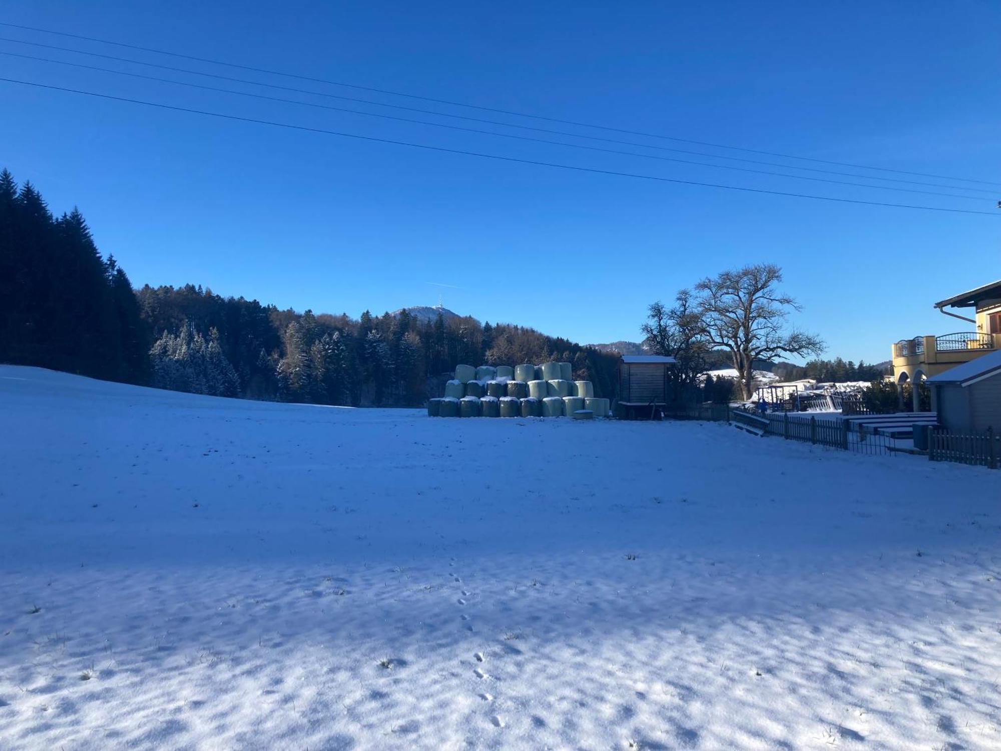 Obereggut Daire Hof bei Salzburg Dış mekan fotoğraf